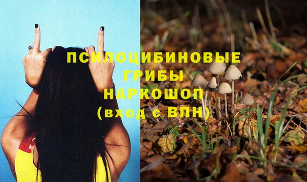 мяу мяу мука Абдулино