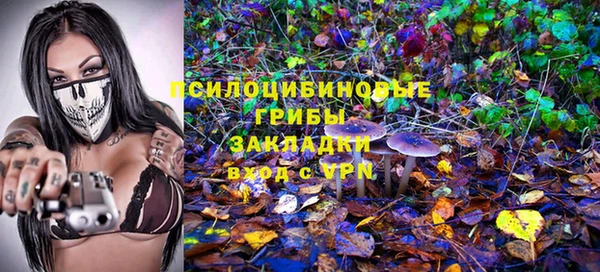 мяу мяу мука Абдулино